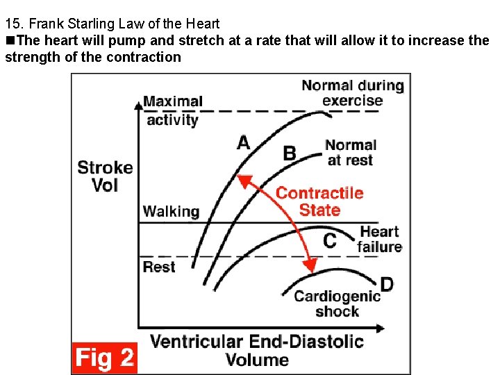 15. Frank Starling Law of the Heart The heart will pump and stretch at