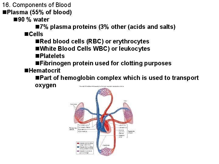 16. Components of Blood Plasma (55% of blood) 90 % water 7% plasma proteins