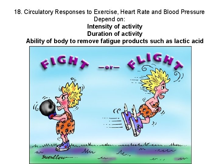 18. Circulatory Responses to Exercise, Heart Rate and Blood Pressure Depend on: Intensity of