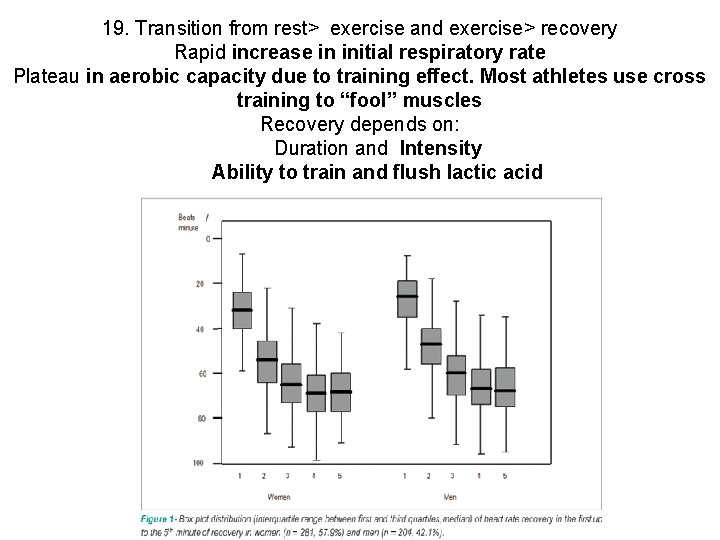 19. Transition from rest> exercise and exercise> recovery Rapid increase in initial respiratory rate