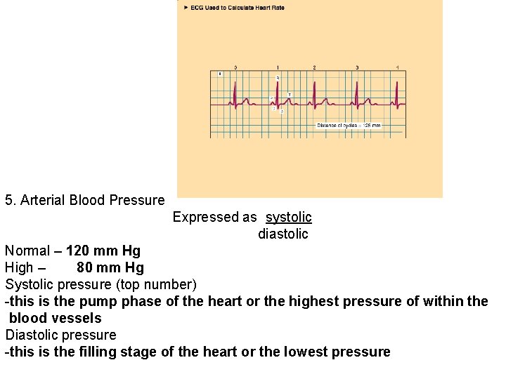 5. Arterial Blood Pressure Expressed as systolic diastolic Normal – 120 mm Hg High