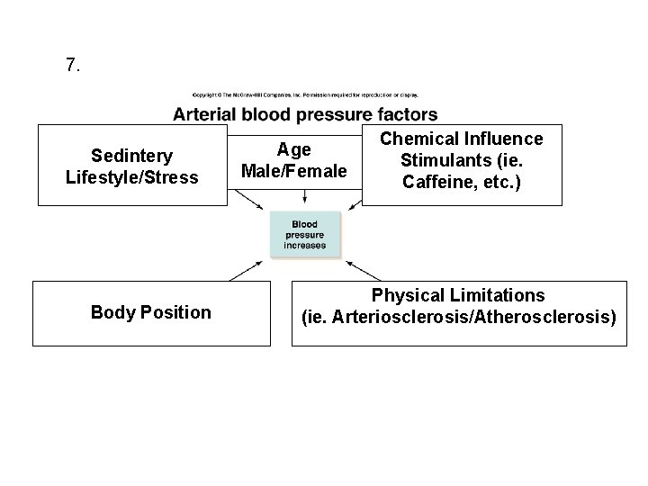 7. Sedintery Lifestyle/Stress Body Position Age Male/Female Chemical Influence Stimulants (ie. Caffeine, etc. )