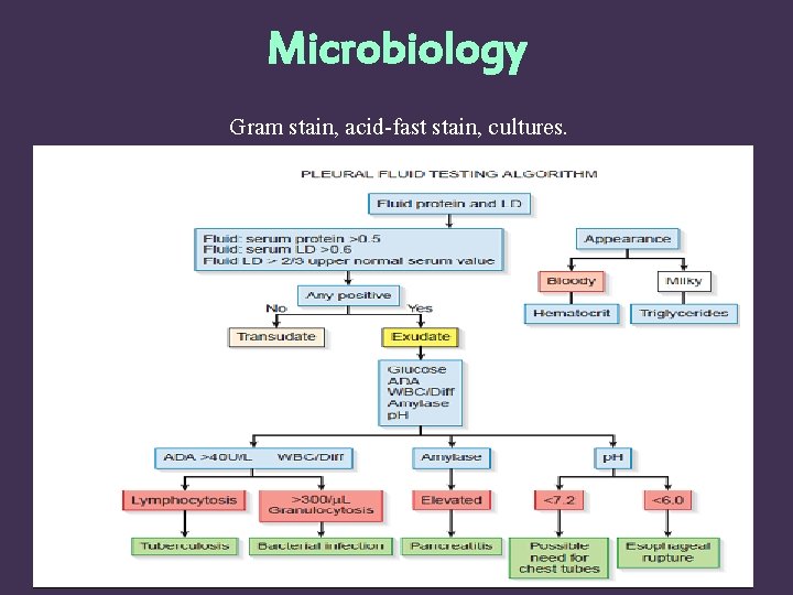 Microbiology Gram stain, acid-fast stain, cultures. 