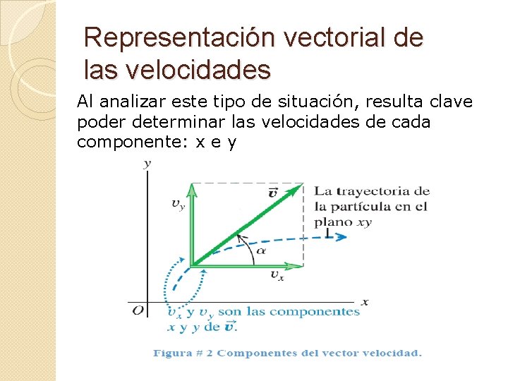 Representación vectorial de las velocidades Al analizar este tipo de situación, resulta clave poder