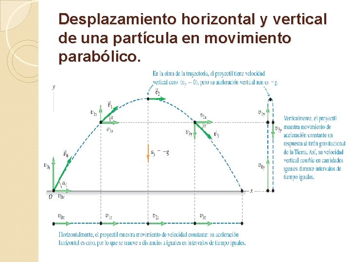 Desplazamiento horizontal y vertical de una partícula en movimiento parabólico. 