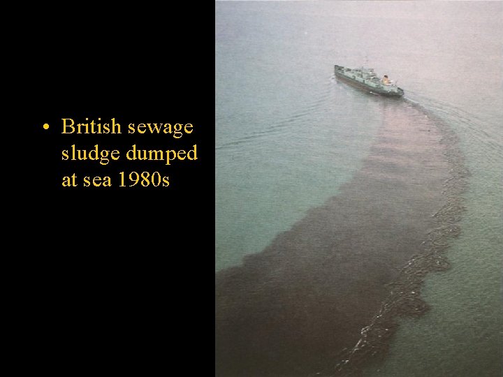  • British sewage sludge dumped at sea 1980 s 