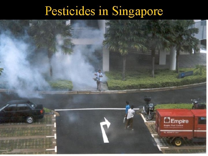 Pesticides in Singapore 