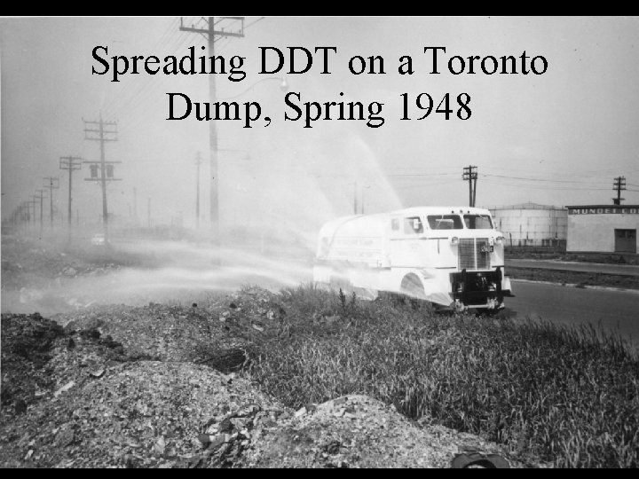 Spreading DDT on a Toronto Dump, Spring 1948 