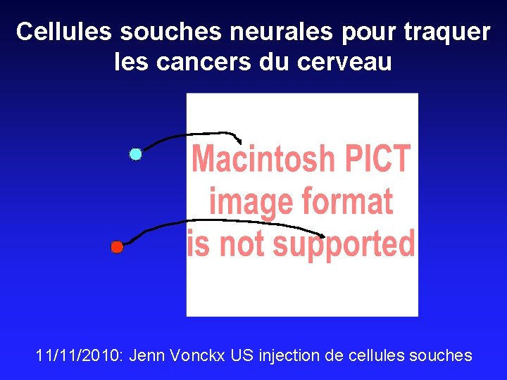 Cellules souches neurales pour traquer les cancers du cerveau 11/11/2010: Jenn Vonckx US injection