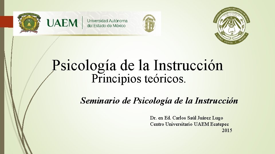 Psicología de la Instrucción Principios teóricos. Seminario de Psicología de la Instrucción Dr. en