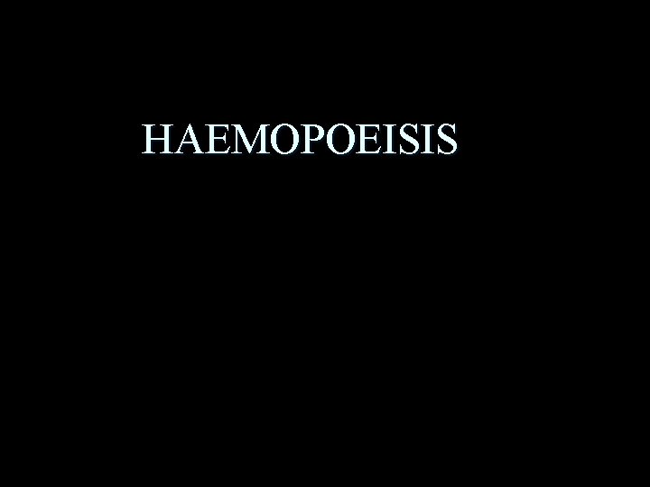 HAEMOPOEISIS 