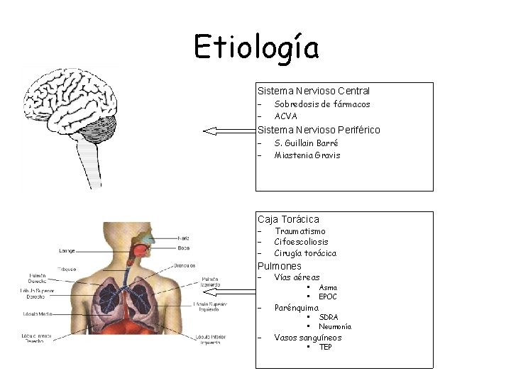 Etiología Sistema Nervioso Central – – Sobredosis de fármacos ACVA Sistema Nervioso Periférico – Etiología Sistema Nervioso Central – – Sobredosis de fármacos ACVA Sistema Nervioso Periférico –
