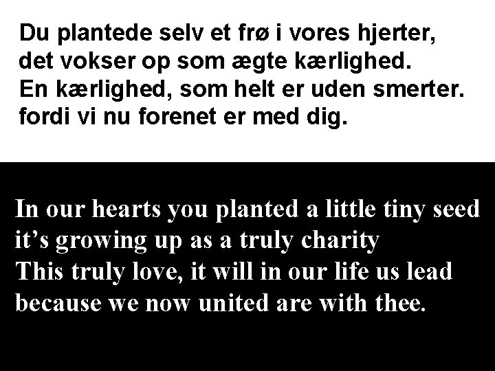 Du plantede selv et frø i vores hjerter, det vokser op som ægte kærlighed.