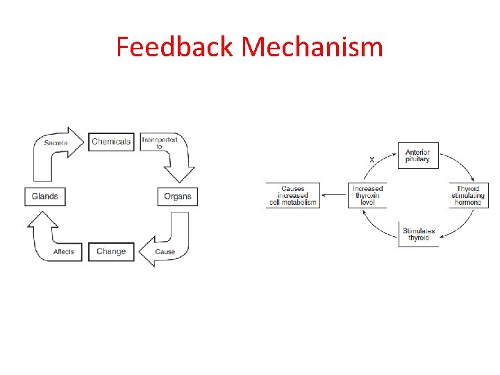 Feedback Mechanism 