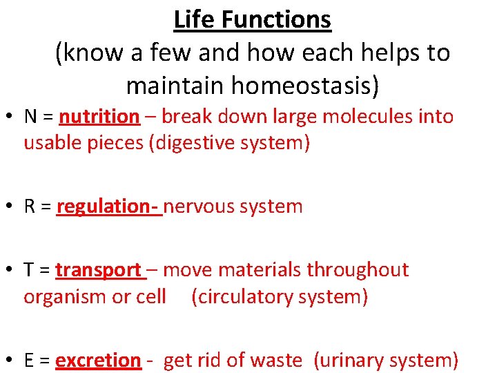 Life Functions (know a few and how each helps to maintain homeostasis) • N