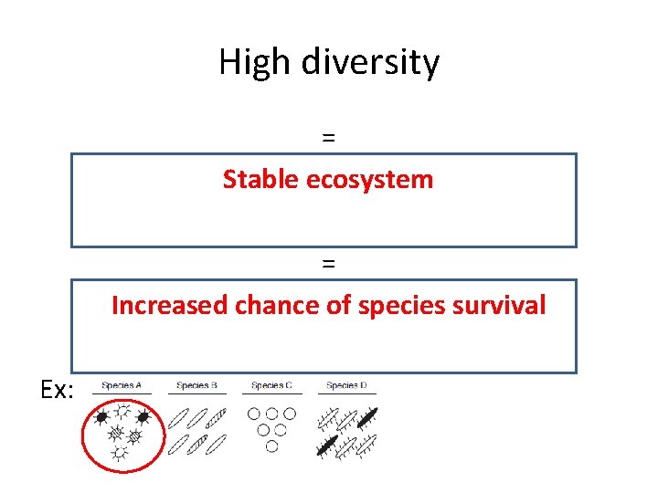 High diversity = Stable ecosystem = Increased chance of species survival Ex: 
