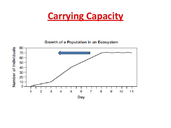 Carrying Capacity 