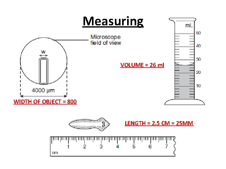 Measuring VOLUME = 26 ml WIDTH OF OBJECT = 800 LENGTH = 2. 5 Measuring VOLUME = 26 ml WIDTH OF OBJECT = 800 LENGTH = 2. 5