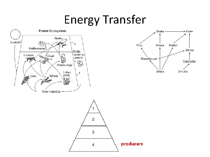 Energy Transfer producers 