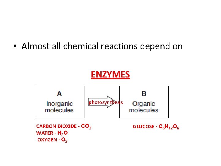  • Almost all chemical reactions depend on ENZYMES photosynthesis CARBON DIOXIDE - CO