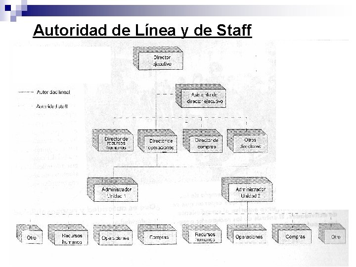 Autoridad de Línea y de Staff 