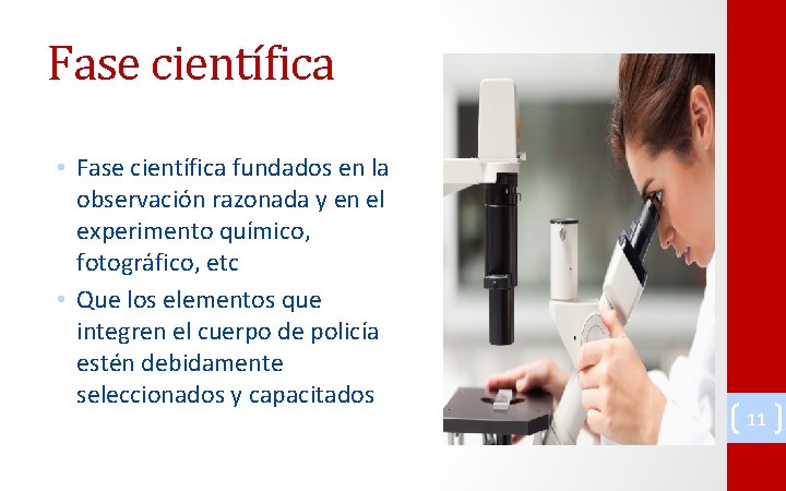 Fase científica • Fase científica fundados en la observación razonada y en el experimento
