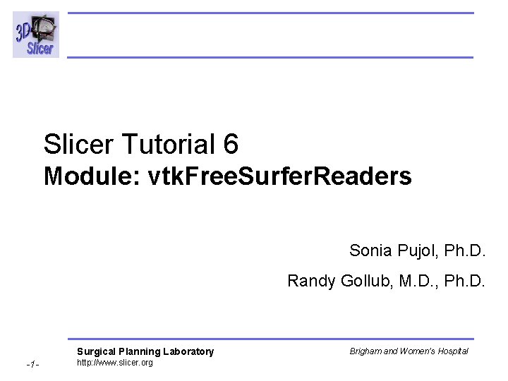 Slicer Tutorial 6 Module: vtk. Free. Surfer. Readers Sonia Pujol, Ph. D. Randy Gollub,