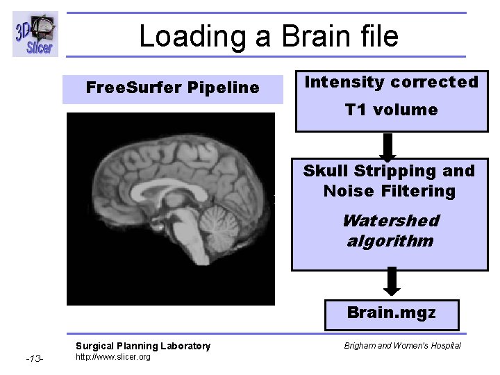 Loading a Brain file Free. Surfer Pipeline Intensity corrected T 1 volume Skull Stripping