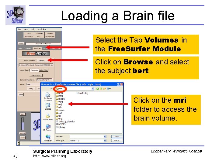 Loading a Brain file Select the Tab Volumes in the Free. Surfer Module Click