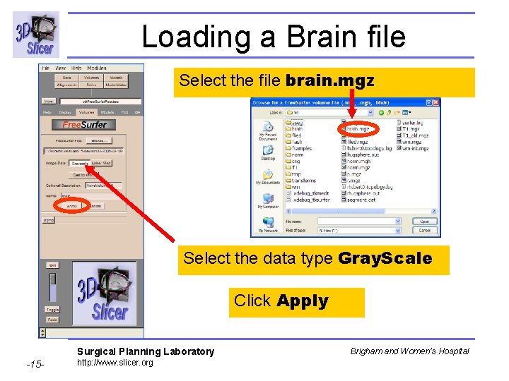 Loading a Brain file Select the file brain. mgz Select the data type Gray.