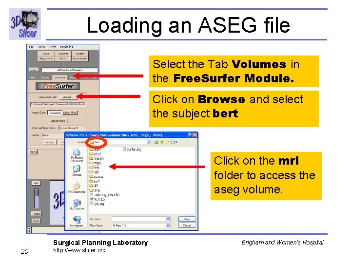 Loading an ASEG file Select the Tab Volumes in the Free. Surfer Module. Click