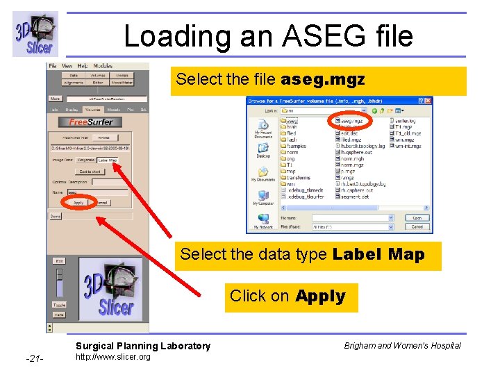 Loading an ASEG file Select the file aseg. mgz Select the data type Label