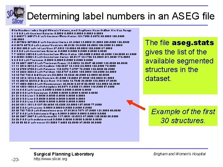 Determining label numbers in an ASEG file # Col. Headers Index Seg. Id NVoxels