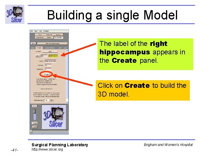 Building a single Model The label of the right hippocampus appears in the Create