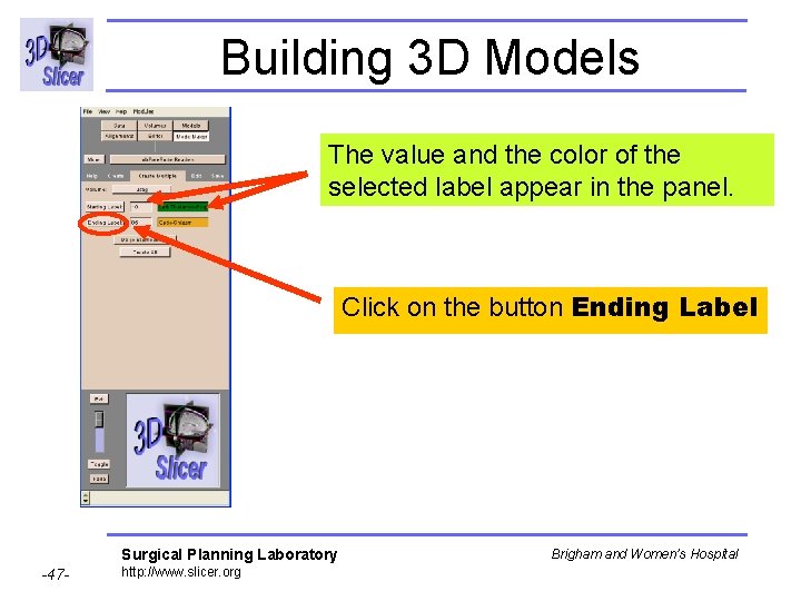 Building 3 D Models The value and the color of the selected label appear