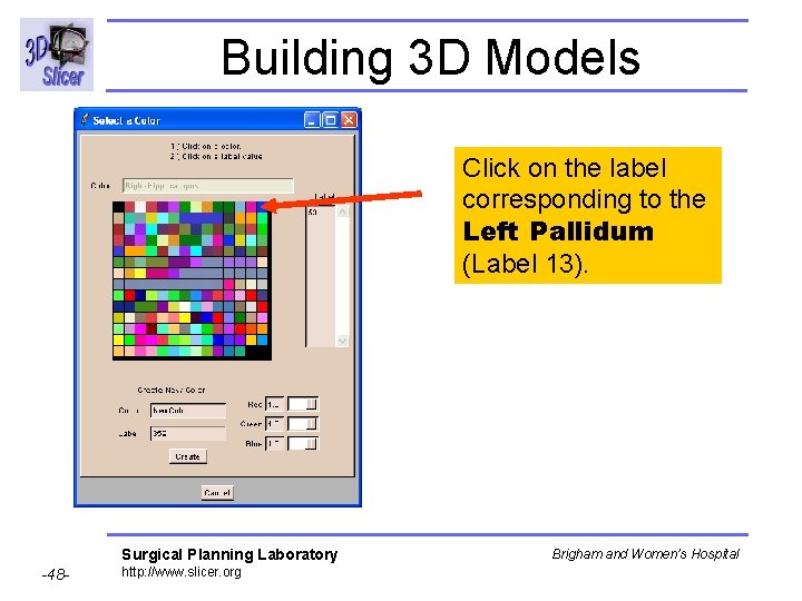 Building 3 D Models Click on the label corresponding to the Left Pallidum (Label