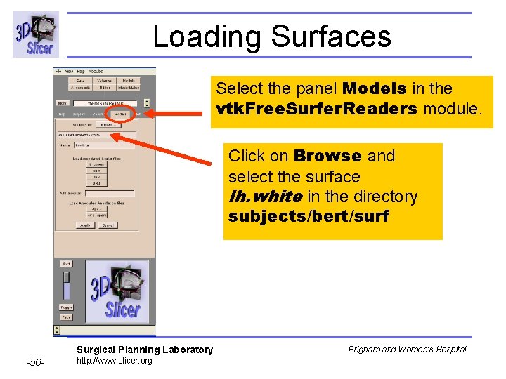 Loading Surfaces Select the panel Models in the vtk. Free. Surfer. Readers module. Click