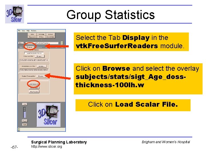 Group Statistics Select the Tab Display in the vtk. Free. Surfer. Readers module. Click