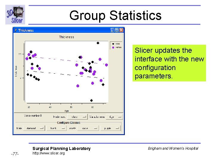 Group Statistics Slicer updates the interface with the new configuration parameters. Surgical Planning Laboratory