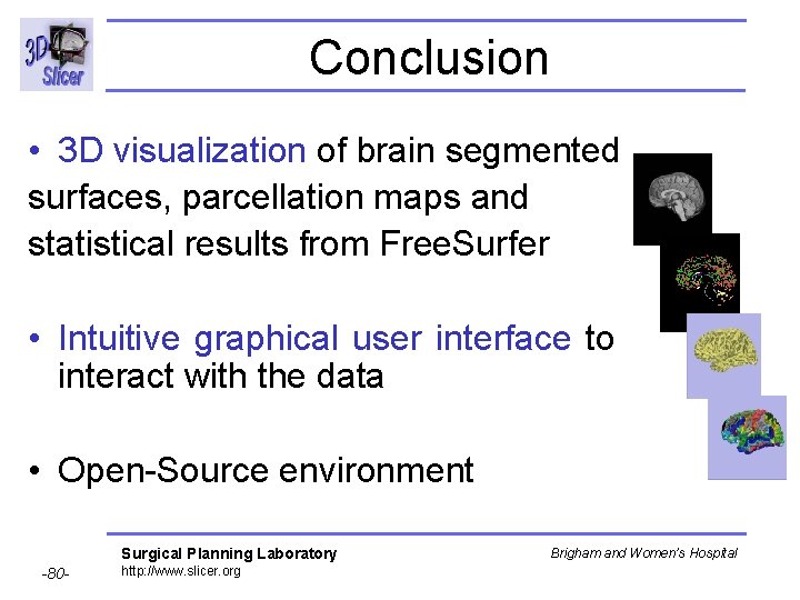 Conclusion • 3 D visualization of brain segmented surfaces, parcellation maps and statistical results