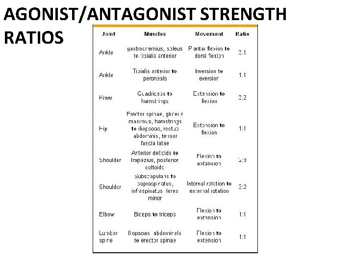 AGONIST/ANTAGONIST STRENGTH RATIOS 