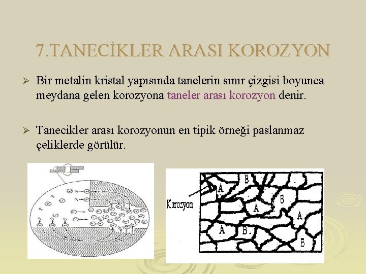 7. TANECİKLER ARASI KOROZYON Ø Bir metalin kristal yapısında tanelerin sınır çizgisi boyunca meydana