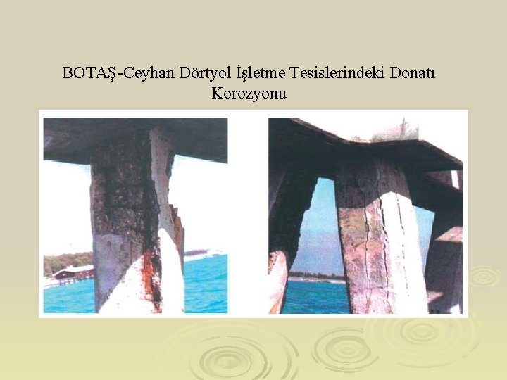 BOTAŞ-Ceyhan Dörtyol İşletme Tesislerindeki Donatı Korozyonu 