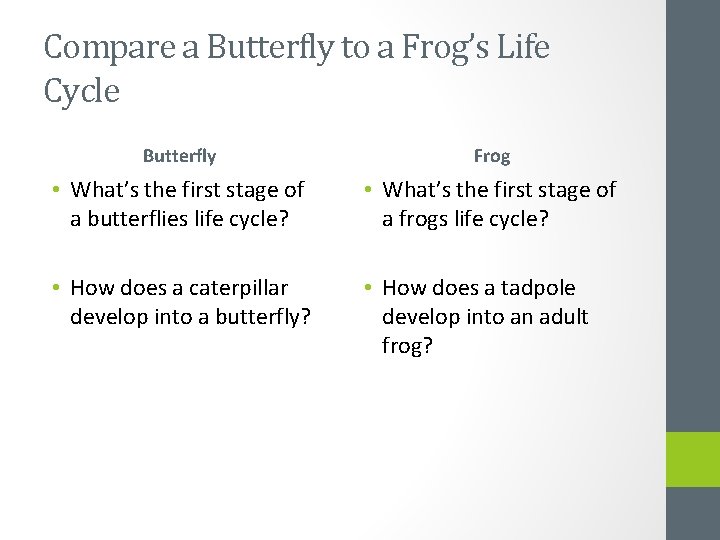 Compare a Butterfly to a Frog’s Life Cycle Butterfly Frog • What’s the first