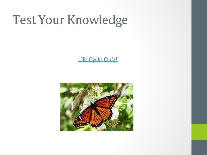 Test Your Knowledge Life Cycle Quiz! 