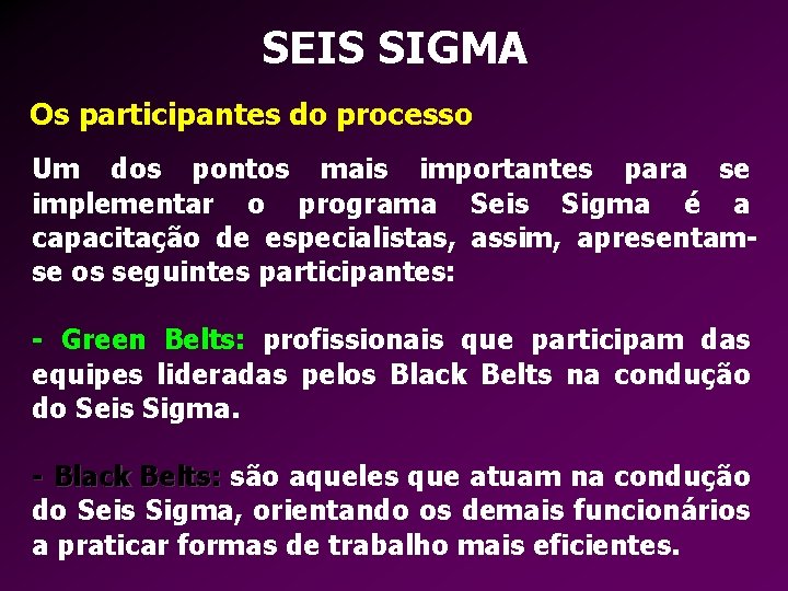 SEIS SIGMA Os participantes do processo Um dos pontos mais importantes para se implementar