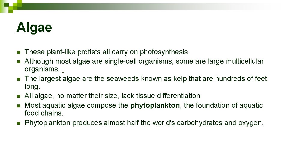 Algae n n n These plant-like protists all carry on photosynthesis. Although most algae