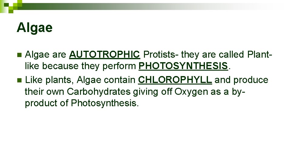 Algae are AUTOTROPHIC Protists- they are called Plantlike because they perform PHOTOSYNTHESIS. n Like