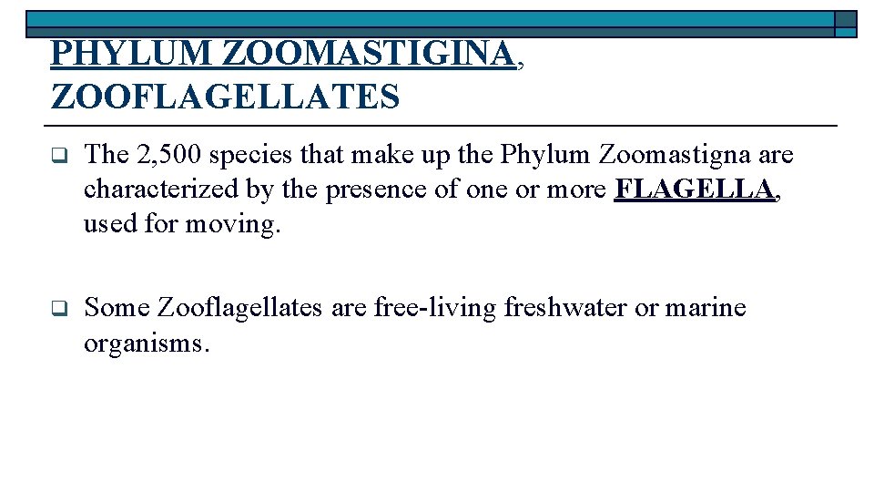 PHYLUM ZOOMASTIGINA, ZOOFLAGELLATES q The 2, 500 species that make up the Phylum Zoomastigna