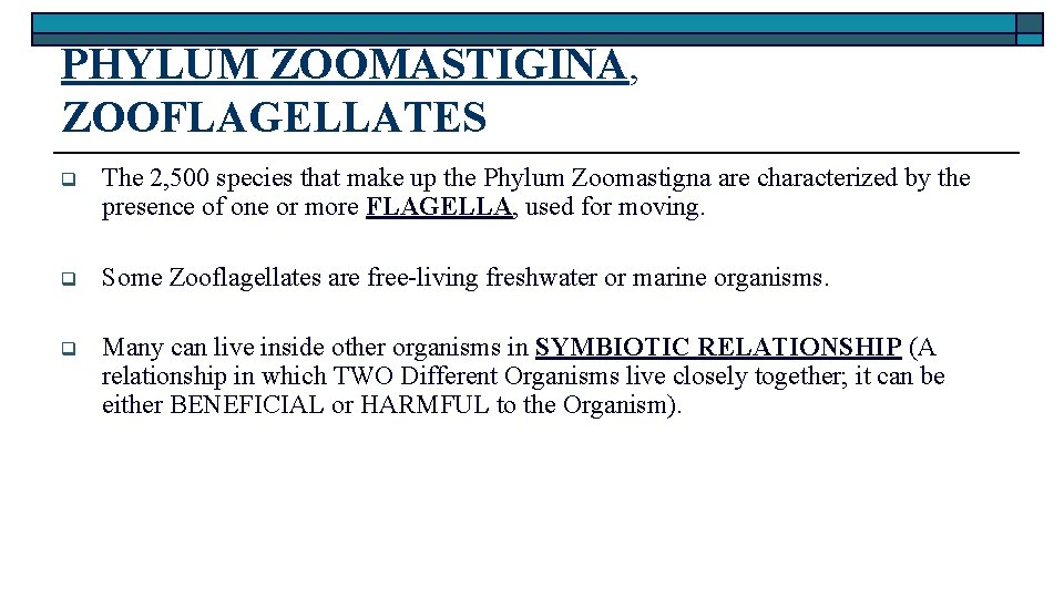 PHYLUM ZOOMASTIGINA, ZOOFLAGELLATES q The 2, 500 species that make up the Phylum Zoomastigna
